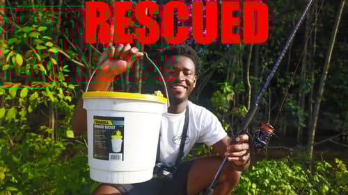 RESCUING HUNDREDS Of FISH From DYING (HUGE FISH RESCUE)