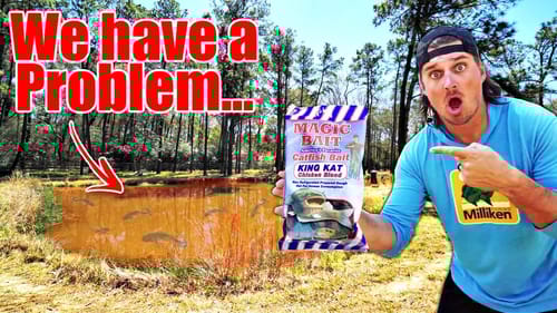 FIRST TIME Fishing My BACKYARD CATFISH POND!! --We have a problem...