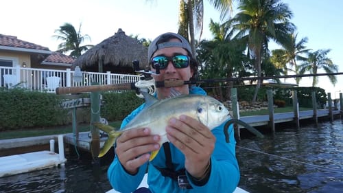 Fresh to Salt Challenge : Catching Jack and Snook on Senkos