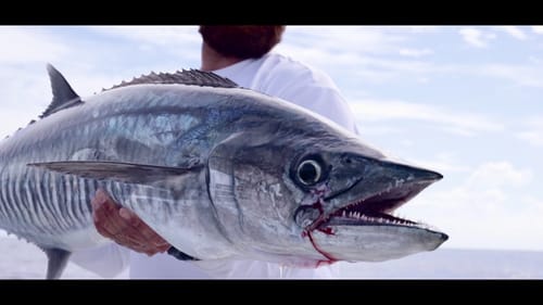 GT Popping and Micro Jigging - Mag Subscriber Feature