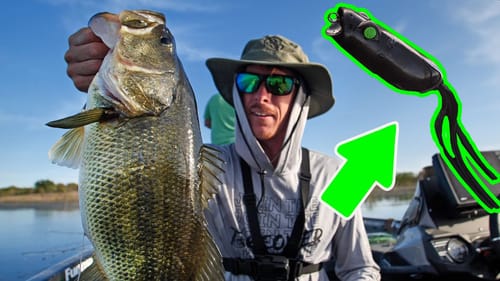Amazing Spring Frog Fishing! ( Blessed Day )