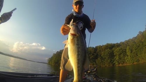 Spotted Bass Fishing Lake Lanier "June"