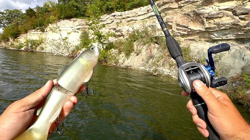 MASSIVE Swimbait gets CRUSHED by Big Fall Bass!!!