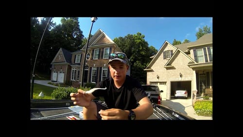 Sworming Hornet Lures "Dude" Review and How To Rig It