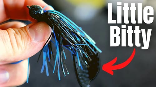 This Little Bitty JIG is All You NEED (Bank Fishing in the COLD)
