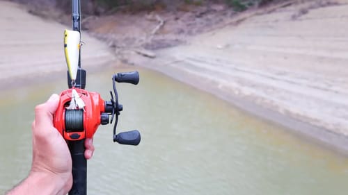AGGRESSIVE Bass CRUSHES Topwater while Fishing (INSANE Blowups)