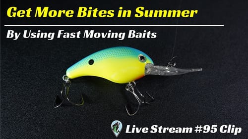 How To Trigger Big Bass With Fast Moving Baits | FTM Livestream #95