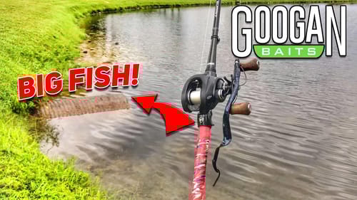 BIG Worm Catches GIANT FISH in Drain (Mondo Worm)