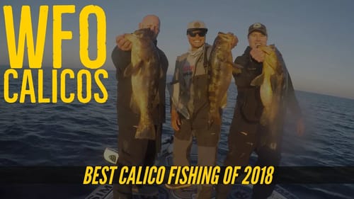 Ballast Point Fishing Team The Finale - Calico Bass Fishing at San Clemente Island