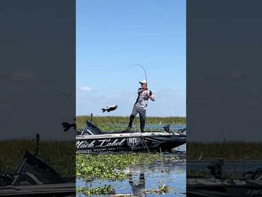 BOAT FLIP ONLY! Big Bass at MLF Lake Okeechobee #shorts #bassfishing #bigbass