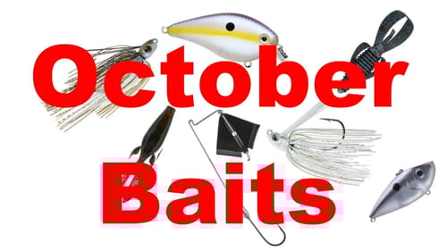 Bass Fishing Baits for October - Fall Transition