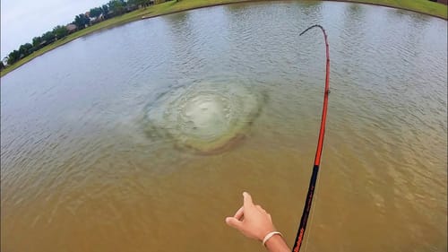 I’VE HOOKED A HUGE.......SOMETHING!!! (IT’S ALIVE)