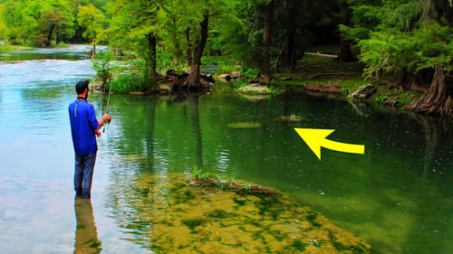 WE FOUND INSANE FISH in this HIDDEN RIVER SPOT!!