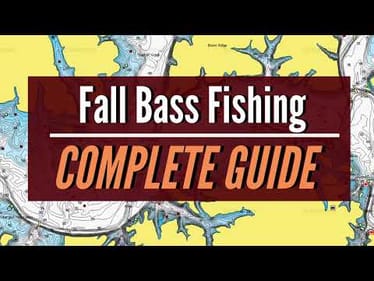 Fall BASS Fishing COMPLETE GUIDE (Fall Transition TO Late Fall)