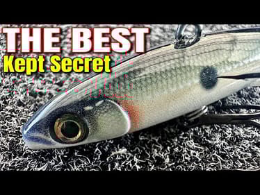 Bass Fishing's BEST Kept Secret for BIG Winter Catches!