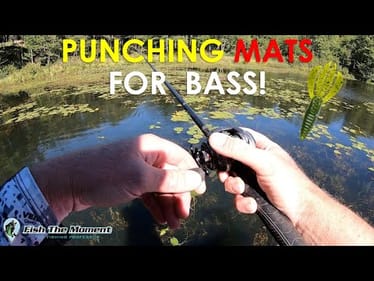 A Year Round Pattern That Produces Big Bass!