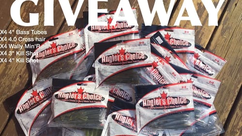 HUGE Fishing Giveaway! | Ladybass