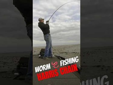 Harris Chain Worm 🪱 Fishing #short #bassfishing #harrischain