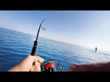 400km On A Micro Boat, Marlin On! - Fraser Island Part 3