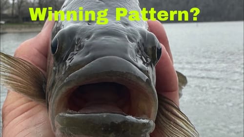 BFL/Lake Of The Ozarks Final Day Practice Report