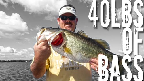 40lbs of Bass