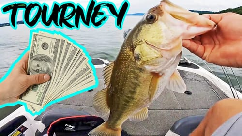 LEGENDARY Lake Guntersville! EARLY FALL Bass Fishing Tournament WIN!