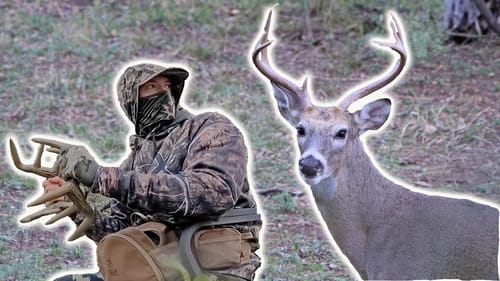 RATTLING BUCKS in the RUT!