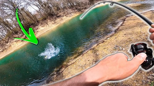 Sight Fishing Backwater GIANTS! I Can’t Believe He ATE IT!! (HFDD Pt 4)