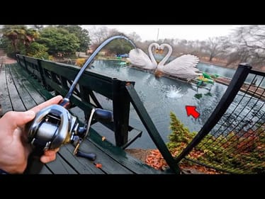 Fishing For 10lb Bass In AMUSEMENT PARK Ponds! (Bank Fishing)