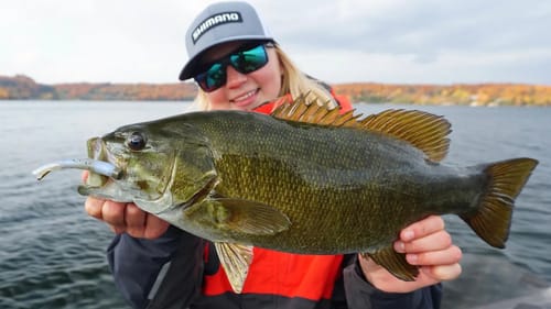 They are Chewing! DEEP Fall Smallmouth in Ontario!! (Baits & Locations)