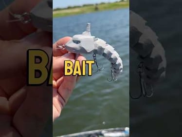 Fishing with a 3D Printed Onyx Pokemon Bait #fishing