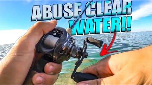 what do you do when the water is CRYSTAL CLEAR??? no really pls help