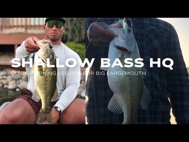 SHALLOW BASS FISHING HQ #fishing #bassfishing