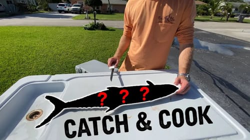 Whatever We Catch, We EAT! Mystery Fish Catch Clean Cook