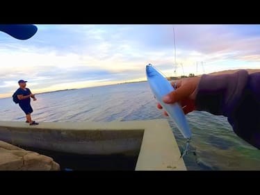 Tossing Giant Topwaters in the Fall