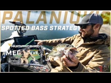 Spotted Bass in Clear Water | Palaniuk's Strategy