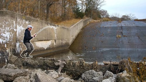HIDDEN SPILLWAY = NEW Species!!!