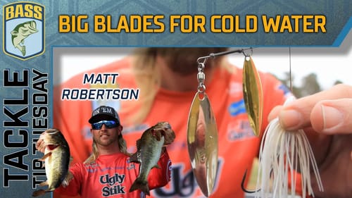 Big spinnerbait blades for cold water situations