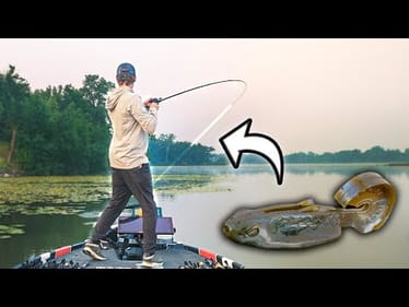 I May Have Just Found My New FAVORITE Topwater... (Frog Fishing Tips)
