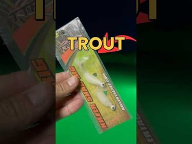 Is This The Best Lure For Night Fishing? #fishingvideos #fishing