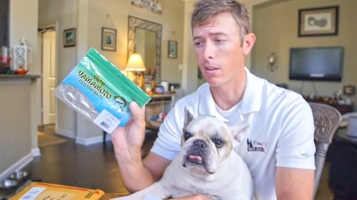 Secret Fall Fishing Lure Color Unboxing with Winston the Bulldog
