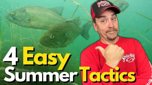 TOP 4 Tactics for Finding Summer Bass
