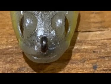 The Secret Lure I Debated Not Sharing On YouTube