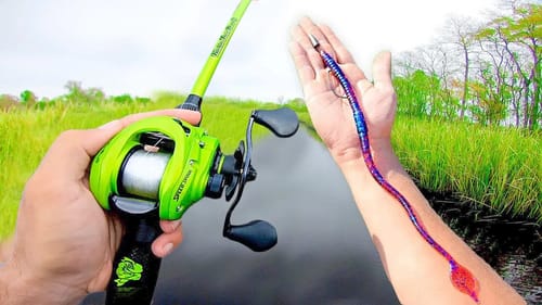 Fishing HIDDEN Creeks for BIG Bass (River Fishing)