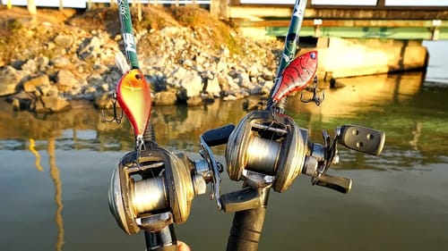 Big Spring Bass DESTROY Red Crankbaits!!!