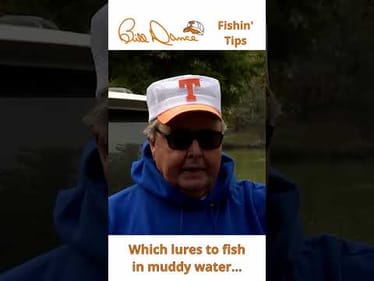Which lures to fish in muddy water...