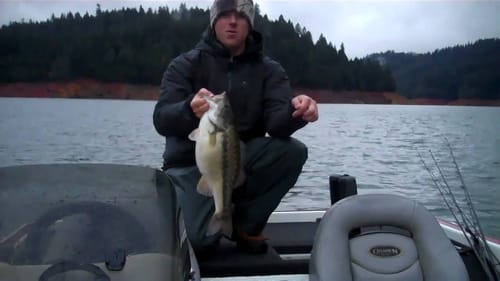 6 pound spotted bass