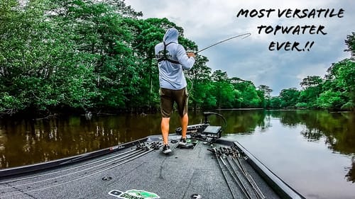 This Is The MOST VERSATILE Topwater LURE That YOU Will EVER Throw!!! || Agree or Disagree??