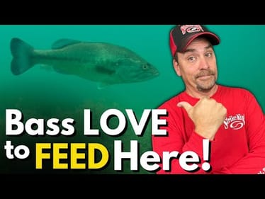My #1 Spot to Find Active and Feeding Bass (Underwater Proof!)