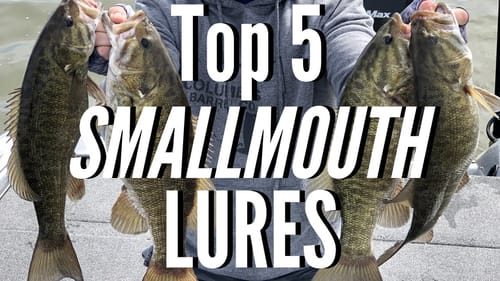 You ONLY Need 5 Lures To Catch Smallmouth (In-The-Boat Series)